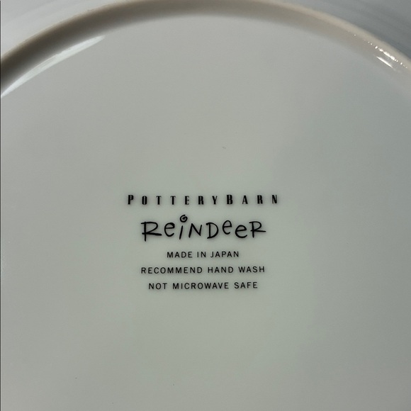 Pottery barn Donner from Reindeer holiday collection Ceramic dinner Plate - Picture 6 of 6